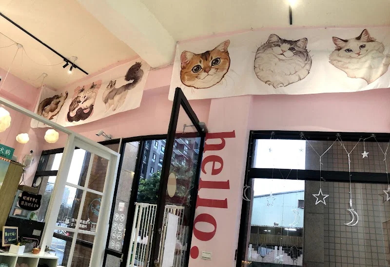 月亮糖糖喵樂園