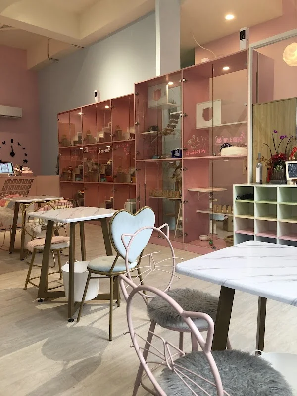 月亮糖糖喵樂園