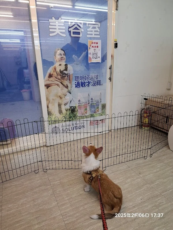 狗窩寵物精品店