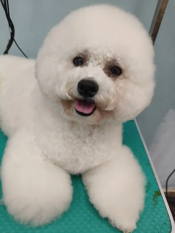 小妹寵物企業社