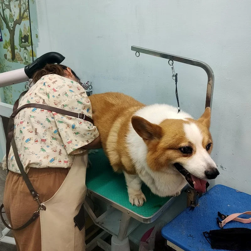 小妹寵物企業社