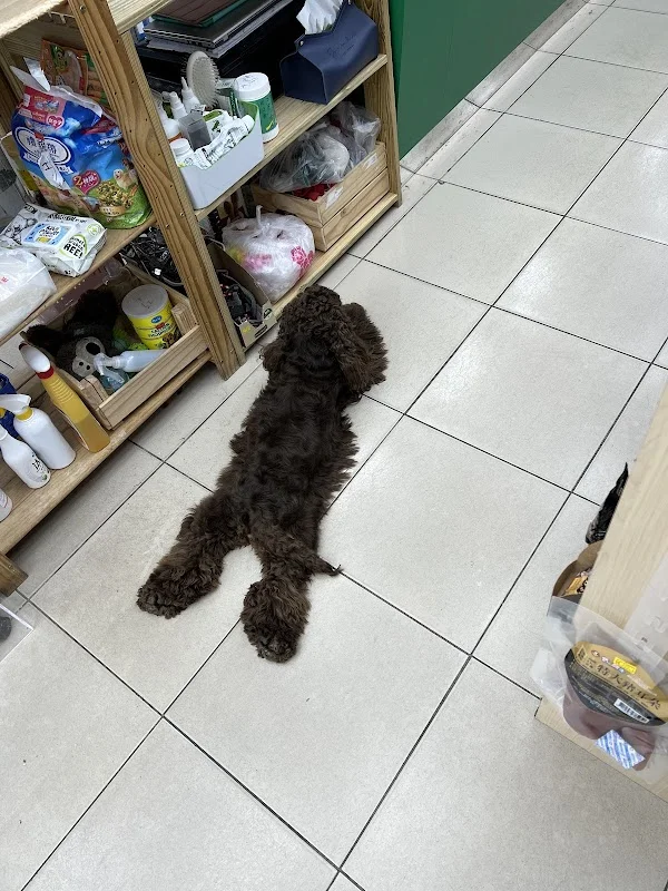 金草本寵物精品店