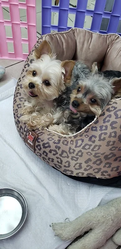 金草本寵物精品店