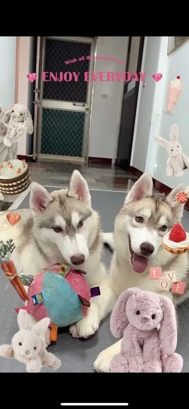 頂尖寵物生活館