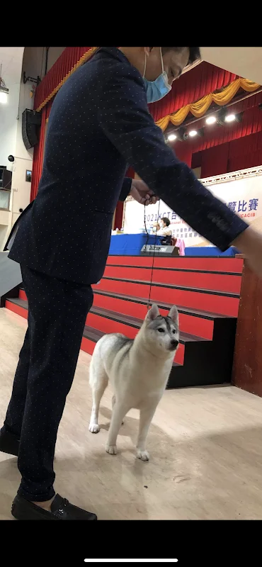 頂尖寵物生活館