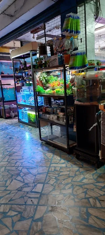 新魚水族寵物有限公司