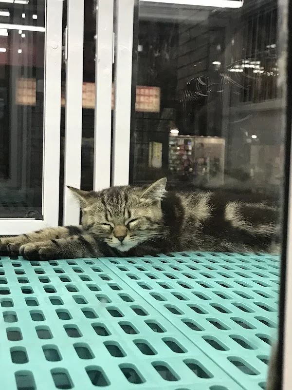 小四寵物有限公司