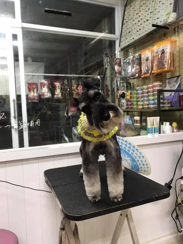 愛瑪寵物沙龍