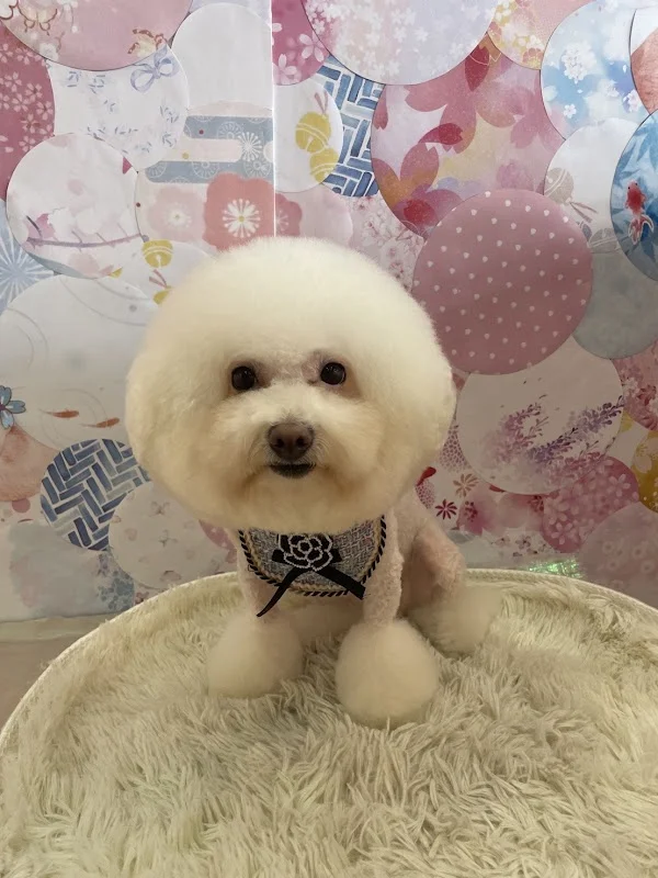 囍寵專業寵物生活館