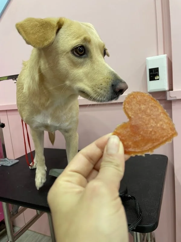 囍寵專業寵物生活館