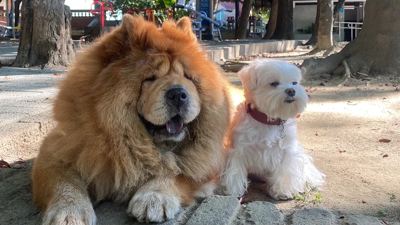 蜜房子寵物時尚生活館