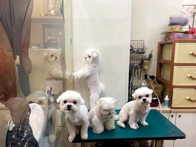 蜜房子寵物時尚生活館