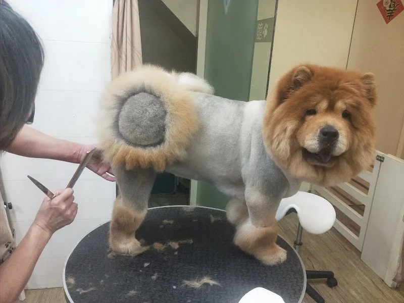 蜜房子寵物時尚生活館