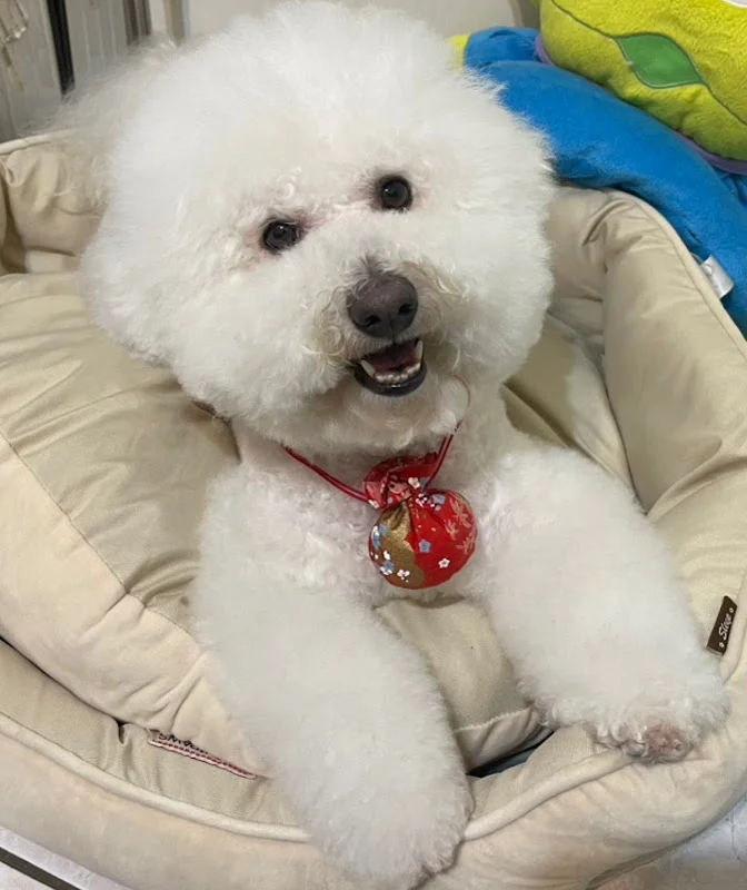 蜜房子寵物時尚生活館