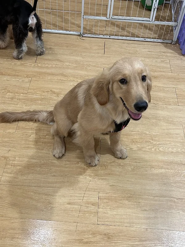 毛小窩寵物生活館