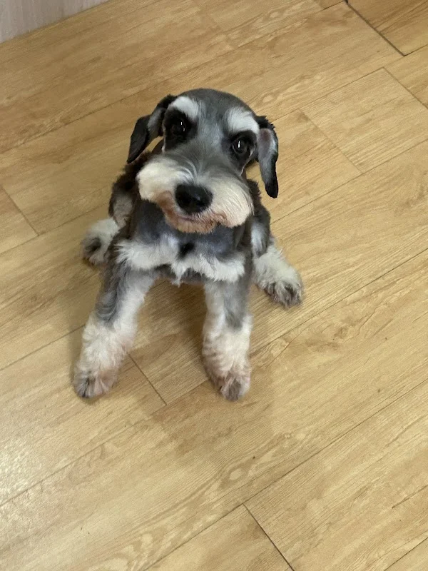 毛小窩寵物生活館