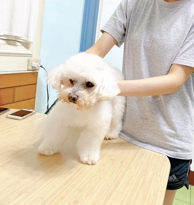 心肝寶貝寵物用品有限公司