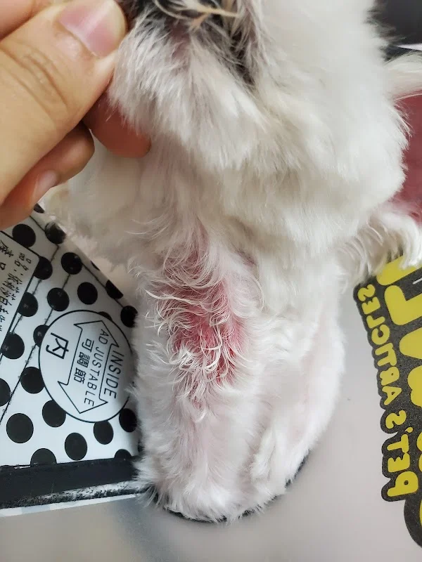 心肝寶貝寵物用品有限公司