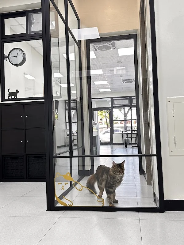 聊咪寵貓館