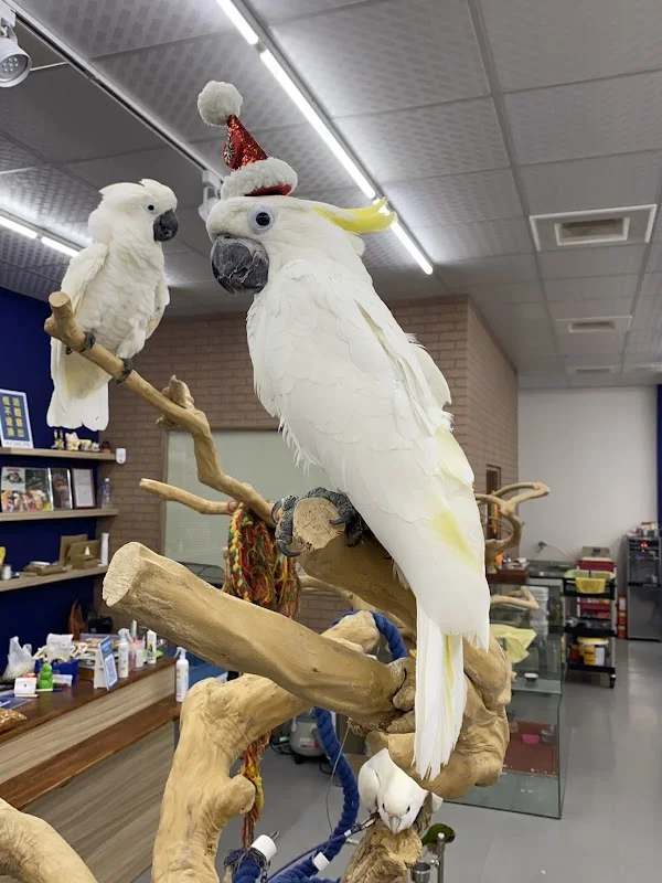 帥帥寵物生活館