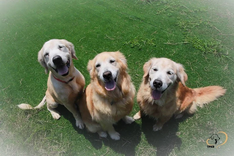 幸福腳印寵物坊