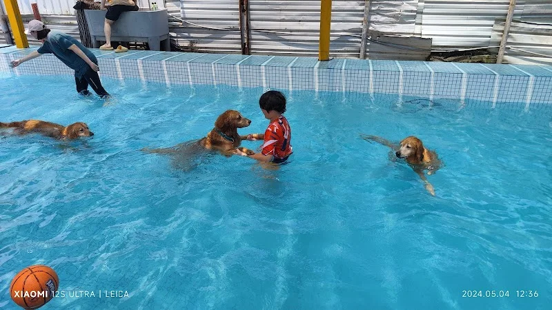 幸福腳印寵物坊