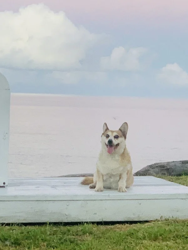 幸福腳印寵物坊