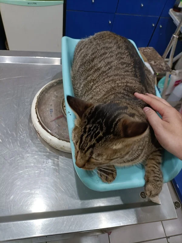 漂亮寶貝寵物坊