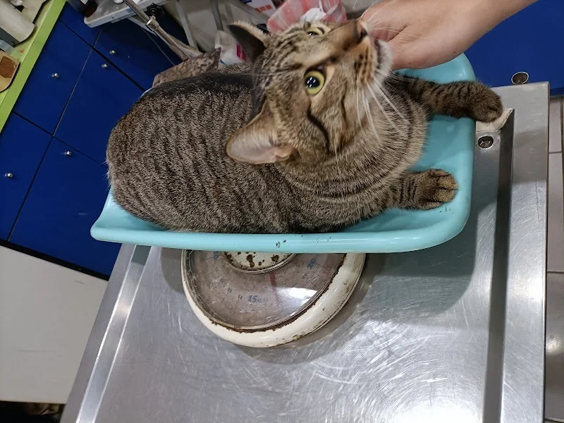 漂亮寶貝寵物坊