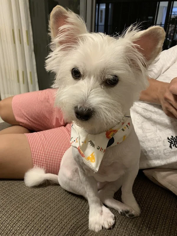 毛小孩寵物工坊