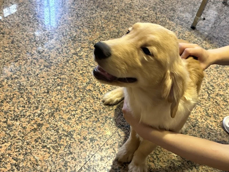 毛小孩寵物工坊