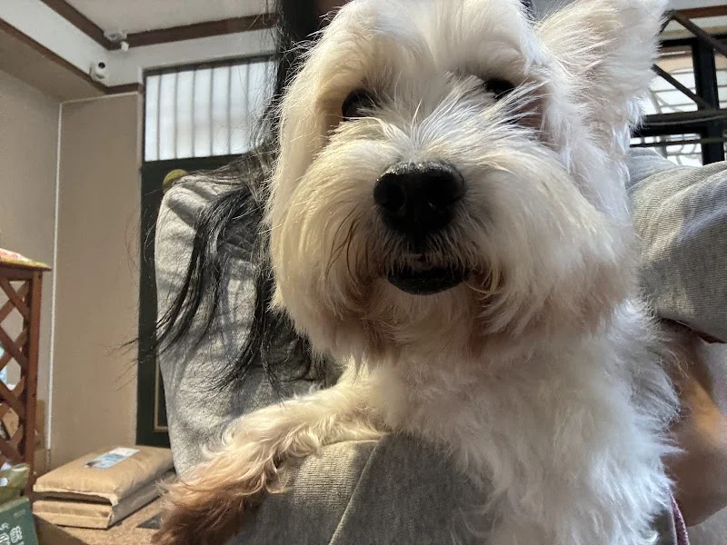 毛小孩寵物工坊