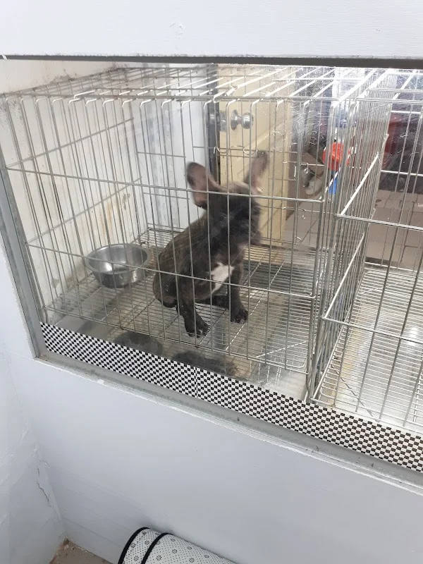 法鬥家族寵物有限公司