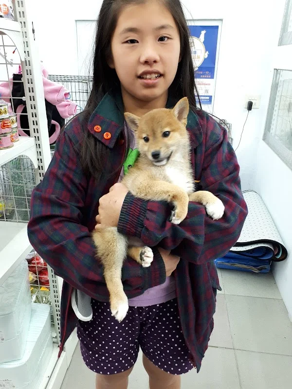 法鬥家族寵物有限公司