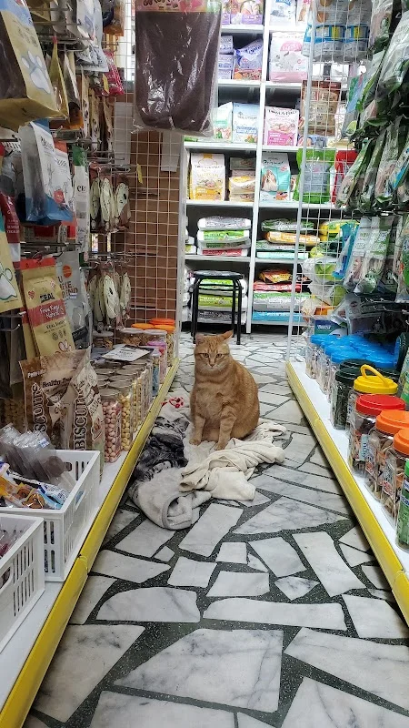 汪星人寵物精品