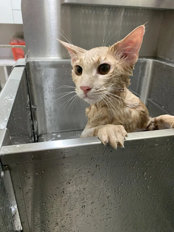 犬貓物語生活館