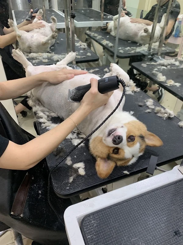 犬貓物語生活館