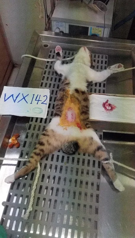 藍世界水族設計館