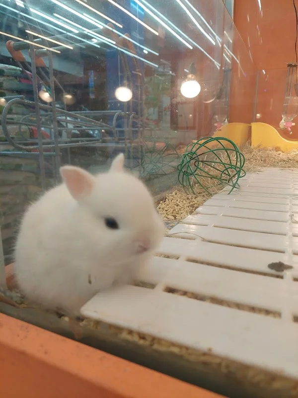 藍世界水族設計館