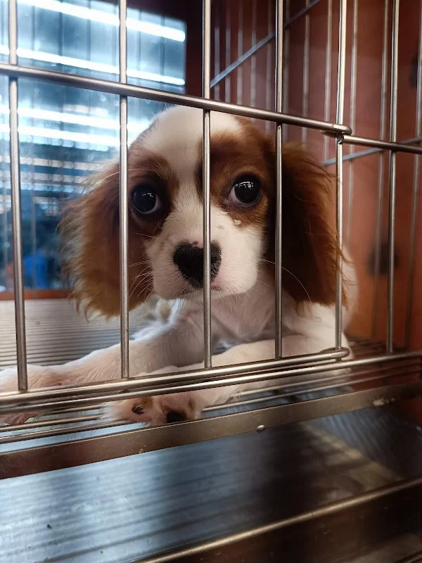 藍世界水族設計館