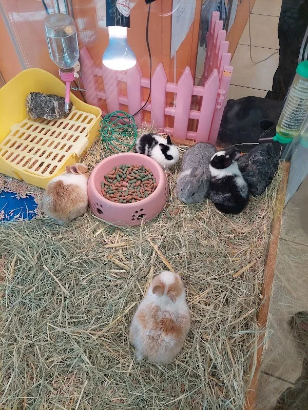 藍世界水族設計館