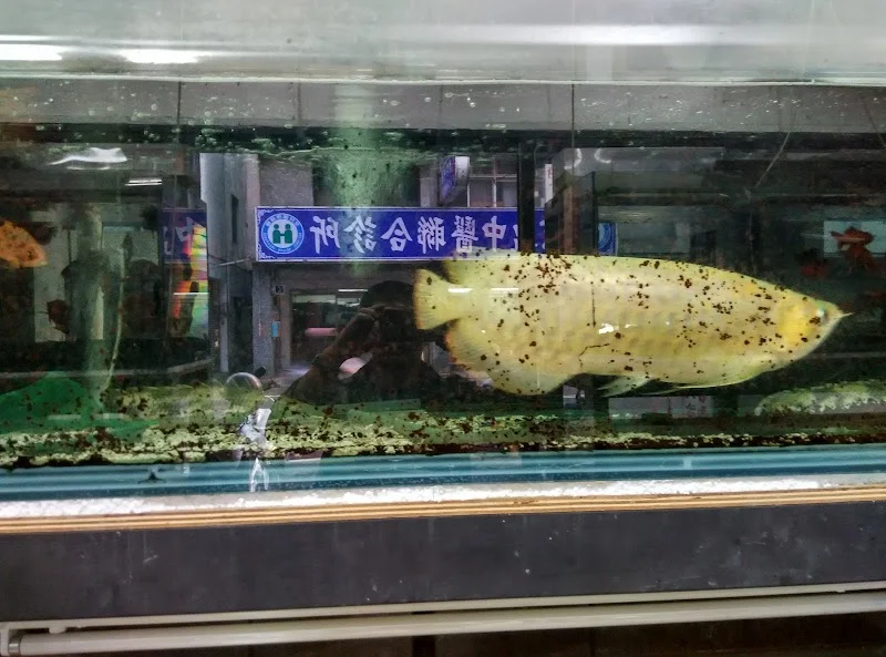 華美水族館
