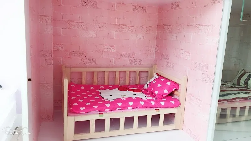 九龍愛心寵物社