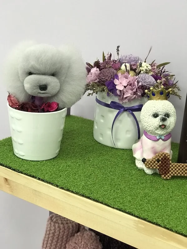 九龍愛心寵物社