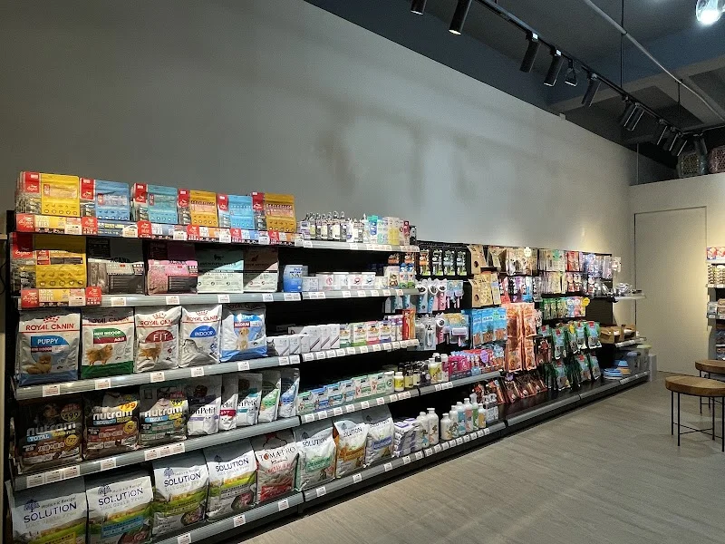 多良日本柴犬專賣店