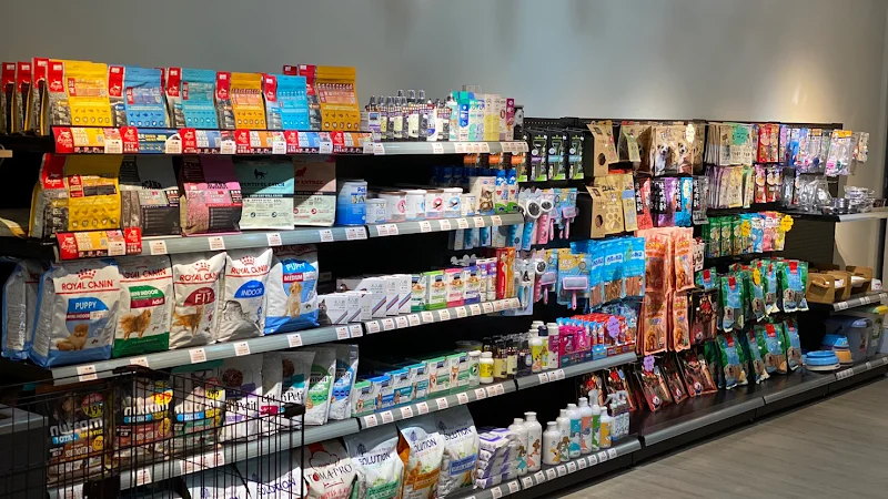 多良日本柴犬專賣店