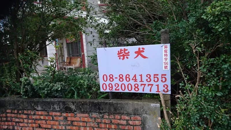 越宏莊柴犬專門犬舍