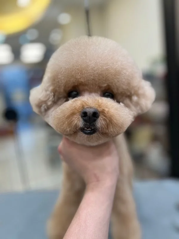 狗師傅寵物美學館