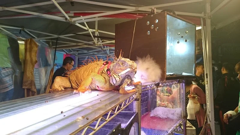 兔兵團寵物繁殖場