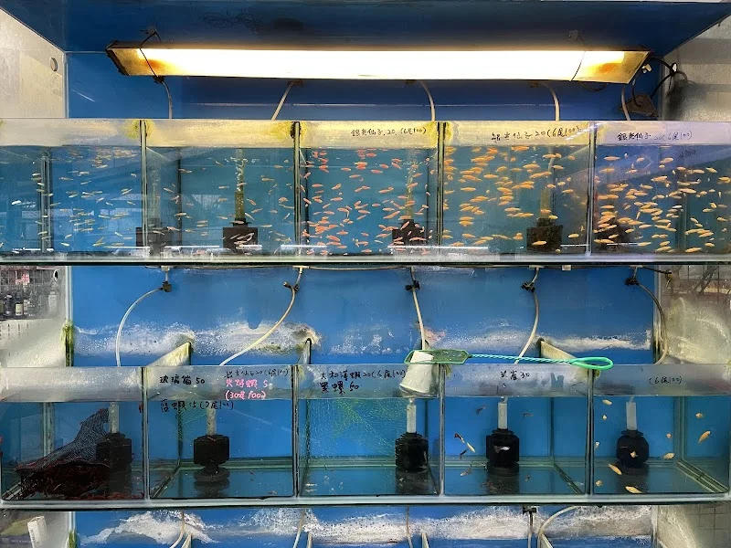 水晶宮水族寵物館